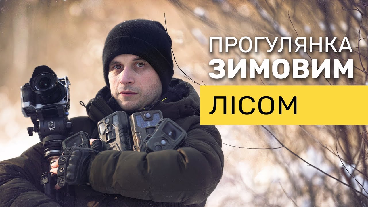 Прогулянка зимовим лісом ❄️ Коли щось пішло не за планом, але настрій залишився гарним❄️