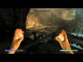 Skyrim glitches #2