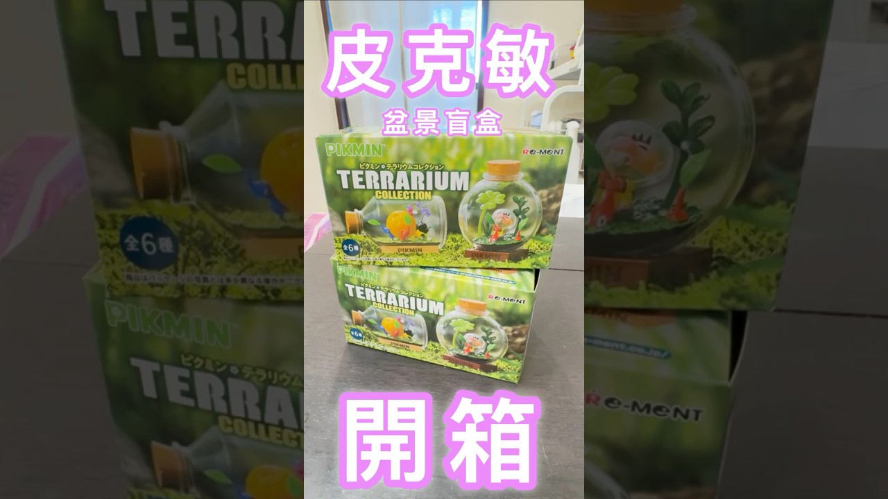 皮克敏盆景盲盒開箱🍄超離譜的價差❗️ 縮圖