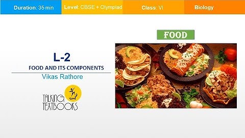 L - 2 Food And Its Components| Class 6 Crash Course | Vikas Rathore | TTB