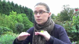Nem Vaughan on Geo Engineering Geo Engineering Pvt Ltd