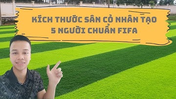 Kích thước sân cỏ nhân tạo 5 người chuẩn fifa là bao nhiêu