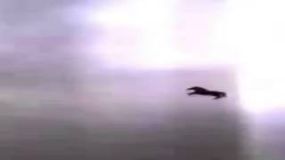The black horse of Revelations HD & Enhanced