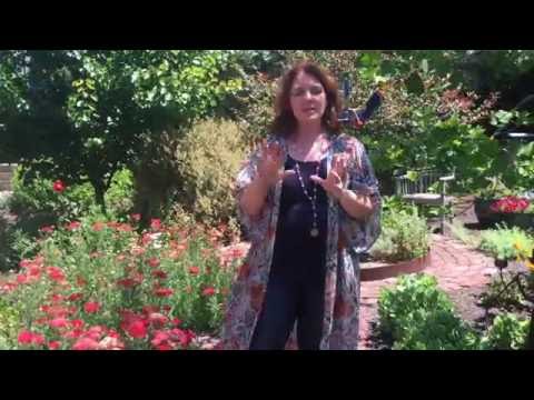 Abby Tucker: Summer Solstice Practices 2016