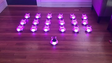 Finch Robot 2.0 Chorus Line