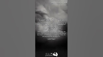 القارئ: شيخ ابو بكر الشاطري 🤍