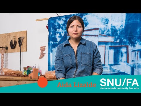 Aida Lizalde - Artist Lecture