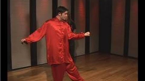 Kung Fu : Tan Tui Side to Side Left Uppercut Transition