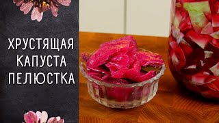 КАПУСТКА-ПЕЛЮСТКА / маринованные лепестки капусты со свеклой