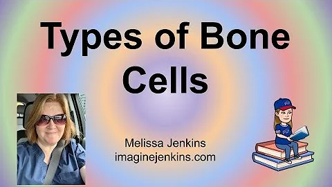 Three Types of Bone Cells