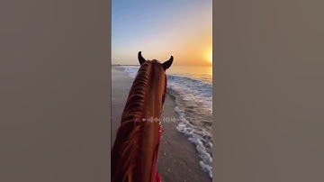 سورة النصر ❤️⚘️حالات واتس اب قرآن كريم بصوت جميل جدا Quran Status ⚘️ ♥️