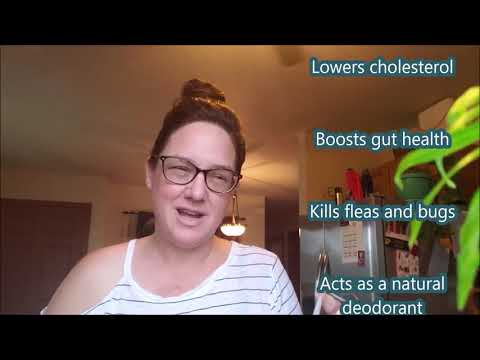 apple-cider-vinegar-for-weight-loss-|weight-loss-drinks