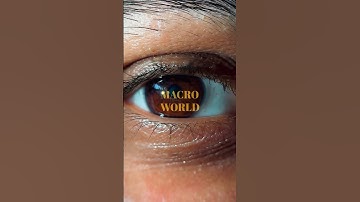 Get into the macro world!! #macro #photography #cinematic #nature