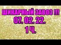 🌸Продажа орхидей. ( Завоз 07. 02. 22 г.) 1 ч. Отправка только по Украине. ЗАМЕЧТАТЕЛЬНЫЕ КРАСОТКИ👍