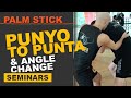 Palm Stick Punyo To Punta Entry Angle Change Palm Stick Punyo To Punta Entry Angle Change