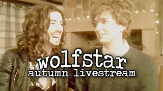 {wolfstar livestream: autumn, deal or gnome deal}