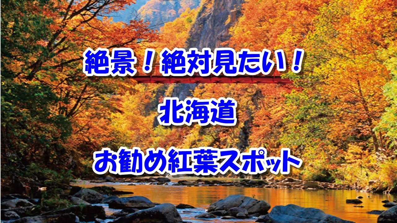 神奈川県 絶景 絶対見たい お勧め紅葉スポットまとめ Youtube