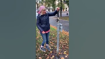 Is this the scariest #geocache ever? 🕷️