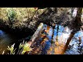 Tearing Out 5 Beaver Dams At The Culvert! Part 2! || Chainsaw Down!