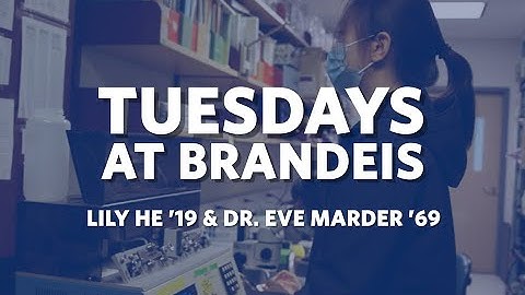 Tuesdays at Brandeis | Dr. Eve Marder Trailer