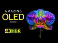 Amazing OLED Demo 4K HDR Dolby Vision