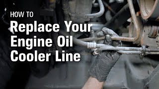 How to Replace Your Engine Oil Cooler Line