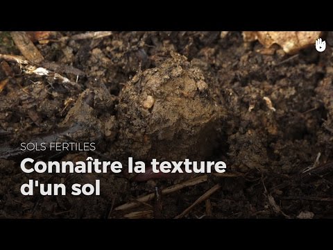Vidéo: Sur une texture de sol ?