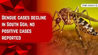 Dengue cases decline in South Goa; no positive cases reported