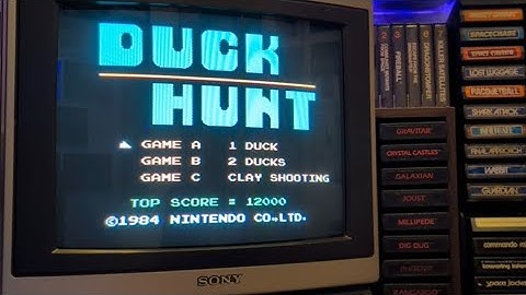 Duck Hunt (1984) - The light gun classic 41 years later!