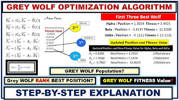 Grey Wolf Optimization Algorithm |Step-by-Step | using Example |Wolf Score and Fitness Comparison |