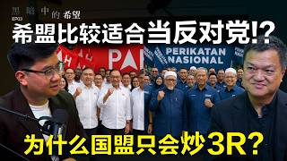 Is PH Better in Opposition? PN’s 3R Card & Starving Opposition 【Hope in the Dark｜Dr. Wong Chin Huat】