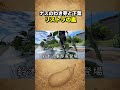 ナスのわき芽と下葉の声　リストラ編【鈴木農園】