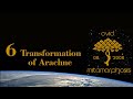 The Transformation of Arachne ~ Ovid ~ Metamorphoses  [34 mins][English and Latin]