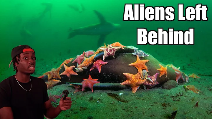The Terrifying Truth Behind the Aliens in the Ocean