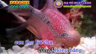 Miniatura de vídeo de "52 Vong Kim Lang   Mua Ngau Da Dut"
