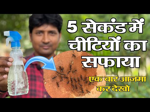 वीडियो: आज रूस में सबसे लोकप्रिय पेशा क्या है?