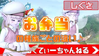 【ドラクエ10】しぐさ・お弁当の種族ごとの違いをまとめてみましたよ♪