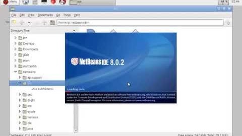 NetBeans IDE run on Raspberry Pi 2, Java get CPU frequency by "cat /sys/.../scaling_cur_freq"