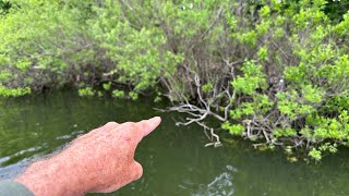 You’ll Never Fish Flooded Bushes The Same After Watching THIS On The Water Demo…