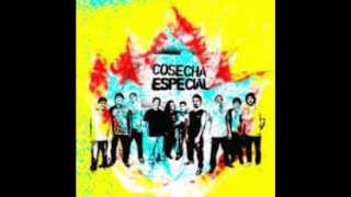 Video thumbnail of "Cosecha Especial - Tiranos"