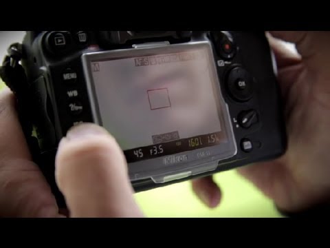 camera-settings-for-outdoor-photography-on-a-steaming-hot-day-:-photography-basics