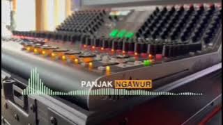 CEK SOUND POTRET TUA  🎛|| NDUNG THUK🎚 COCOK BUAT Hajatan 🎧