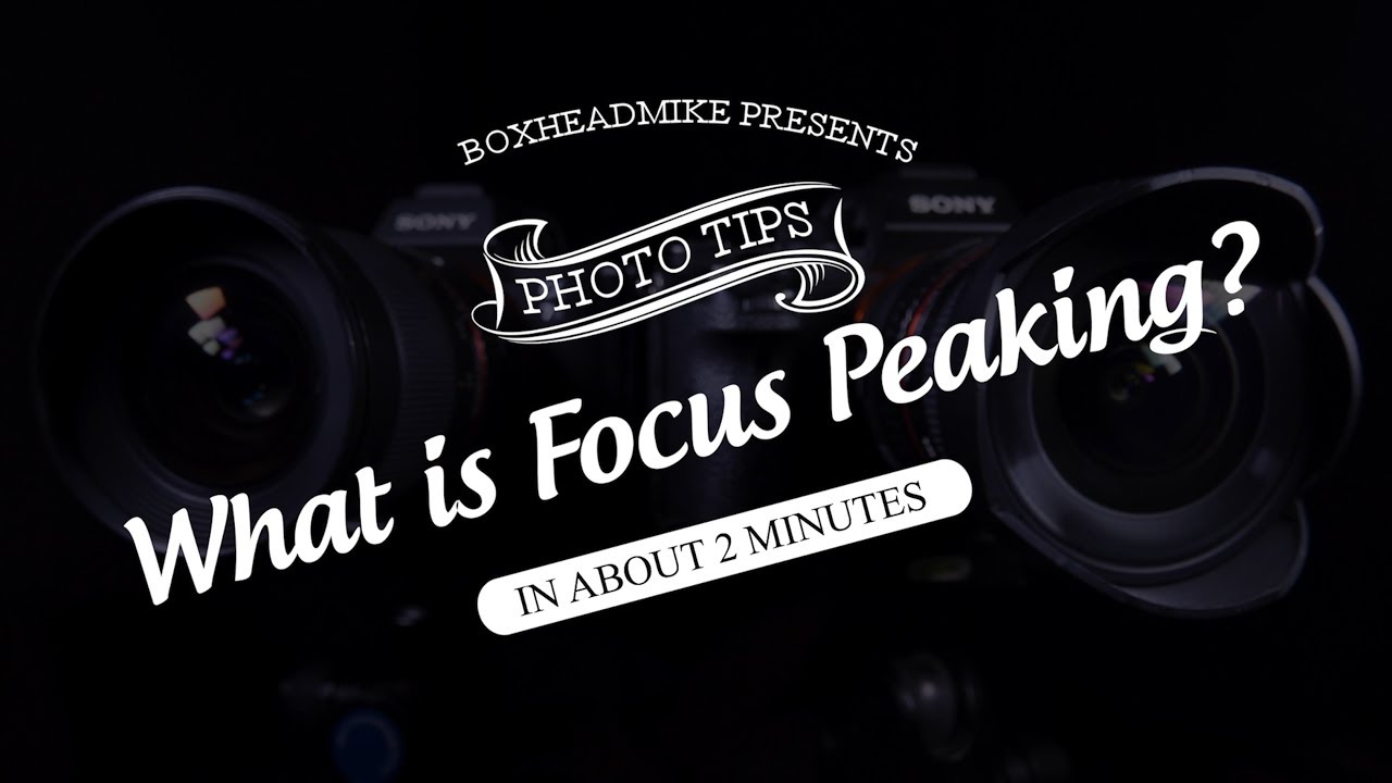 What Is Focus Peaking Sony A7iii Mirrorless YouTube what-is-focus-peaking-sony-a7iii-mirrorless-youtube