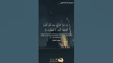 القارئ: شيخ ابو بكر الشاطري 🤍 #allah #quran #islam #قرآن