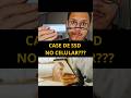 Case para SSD M2 NVME que Funciona em Celular e Tablet???