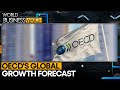 OECD boosts global growth forecast to 3.2% for 2025 | World Business Watch | WION