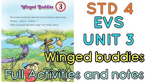 Winged buddies | evs unit 3 | class 4  English medium full activities and notes