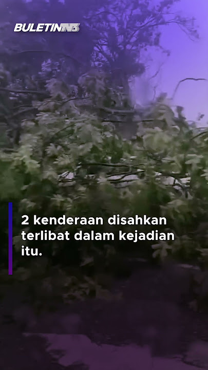 POKOK TUMBANG | 5 Cemas Kenderaan Dihempap Pokok #PokokTumbang #Kapar