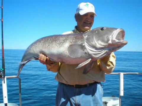 Pesca Embarcada en Mar del Plata con ABC Sandokn p...