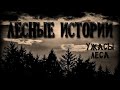 Ужaсы Леса (4в1)/Real Mysticism - Forest Stories (+ 10 subtitles)